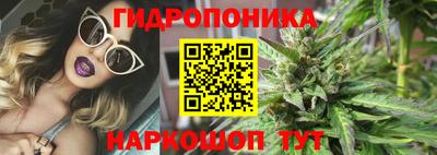 сатива Кингисепп