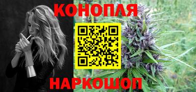 сатива Кингисепп