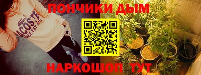 сатива Кингисепп