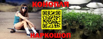 сатива Кингисепп