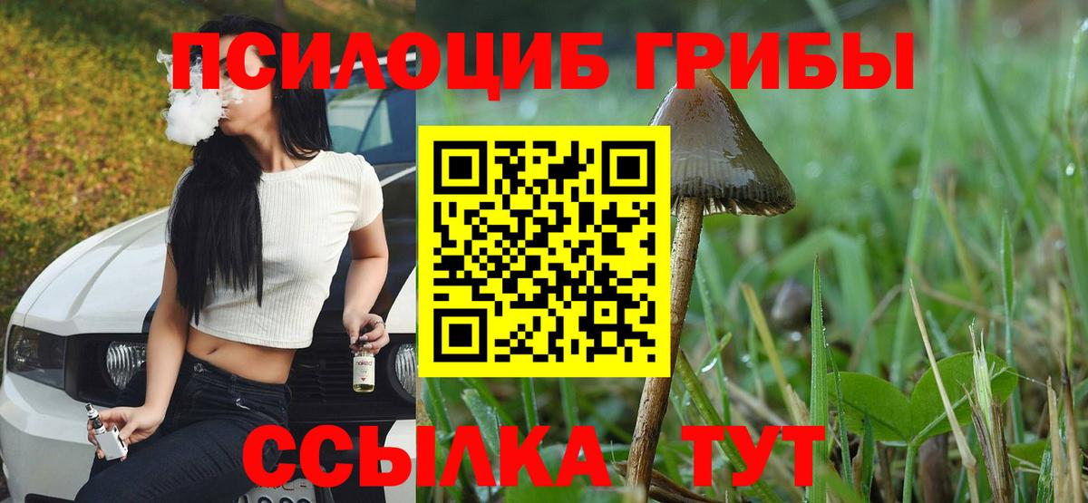 Казань  Галлюциногенные грибы мухоморы  Вход с VPN  Псилоцибиновые грибы прущие грибы 